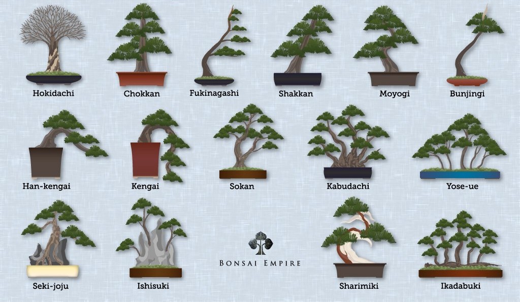 bonsai-styles