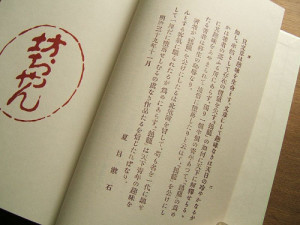 tumblr_no1347NOb51usu42ro1_500